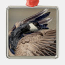 Search for goose christmas tree decorations Waterfowl