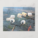 Search for roasted marshmallows postcards Camping
