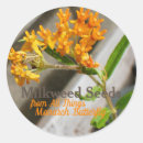 Search for monarch butterfly caterpillar stickers Butterflies