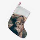 Search for scottish christmas stockings Scotland