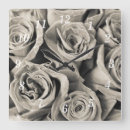 Search for velvet clocks Botanical