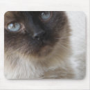 Search for pretty kitty electronics Pet