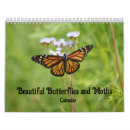 Search for moth calendars Nature