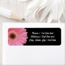 Search for pink gerbera daisy return address labels Flower