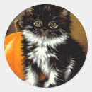 Search for black and white cats stickers Halloween