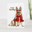 Search for gsd christmas cards Dogs