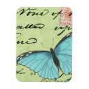 Search for wings rectangular magnets Insect