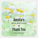 Search for chamomile flowers stickers Summer