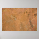 Search for vintage backgrounds posters Architecture