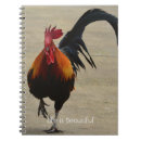 Search for rooster photography Hawaii