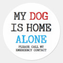 Search for cat home stickers Pet