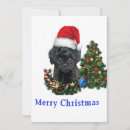 Search for poodle christmas cards Animals