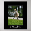 Search for funny demotivational posters Humour