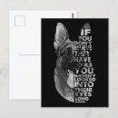 Search for gsd postcards German shepherd dog