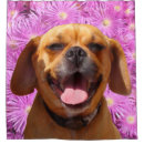 Search for pug shower curtains Pink
