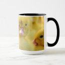 Search for ducks mugs Cute