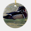 Search for wood duck christmas tree decorations Bird