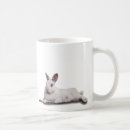 Search for rabbit rescue mugs Cute