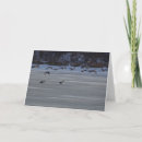 Search for geese cards Animal