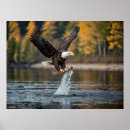 Search for flying fish posters Bird