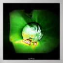 Search for drop leafs posters Macro