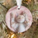 Search for sleeping cat christmas tree decorations Resting