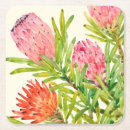 Search for tropical coasters Watercolor