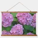 Search for hydrangea photography Rustic