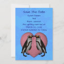Search for penguin save the dates Animal