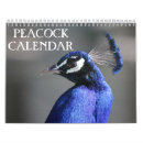 Search for peacock calendars Peafowl