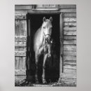 Search for w horse art Horses