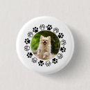 Search for animal pics badges Paw