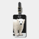 Search for polar bear luggage tags Snow