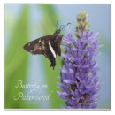 Search for blooms tiles Garden
