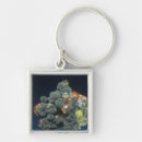 Search for natural science key rings Cutout