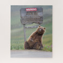 Search for grizzly bear puzzles Alaska