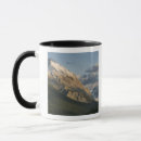 Search for raymond mugs National land