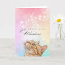 Search for tabbies cards Thinking of you
