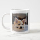 Search for sleepy dog mugs Corgi