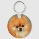 Search for pomeranian key rings Pets