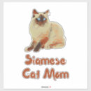 Search for cat breed stickers Kitty