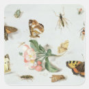 Search for elders stickers Van