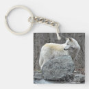Search for white wolf key rings Wolves