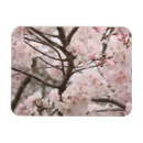 Search for sakura tree magnets Nature