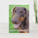 Search for disketter cards Brown