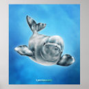 Search for beluga art White