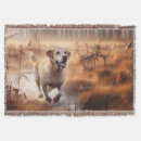 Search for labrador blankets Dog