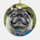 Search for pug christmas tree decorations Pet