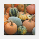 Search for jardin magnets Green