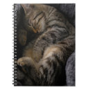 Search for tabby cat notebooks Pet